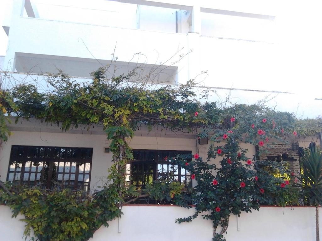 Hotel Calla' Policoro